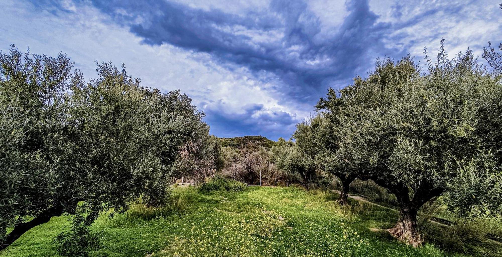 Your Spot West Peloponnese Shared Countryhouse Zacharo Exterior foto