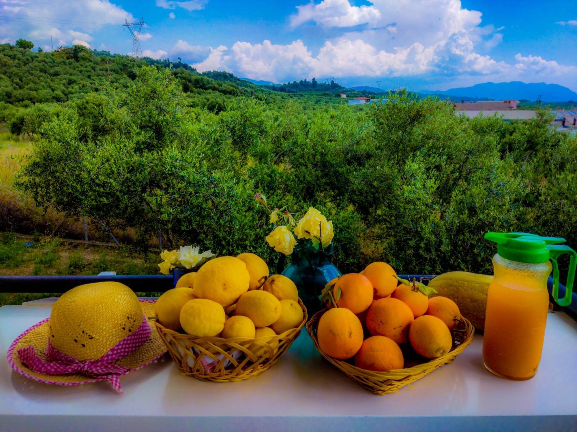 Your Spot West Peloponnese Shared Countryhouse Zacharo Exterior foto