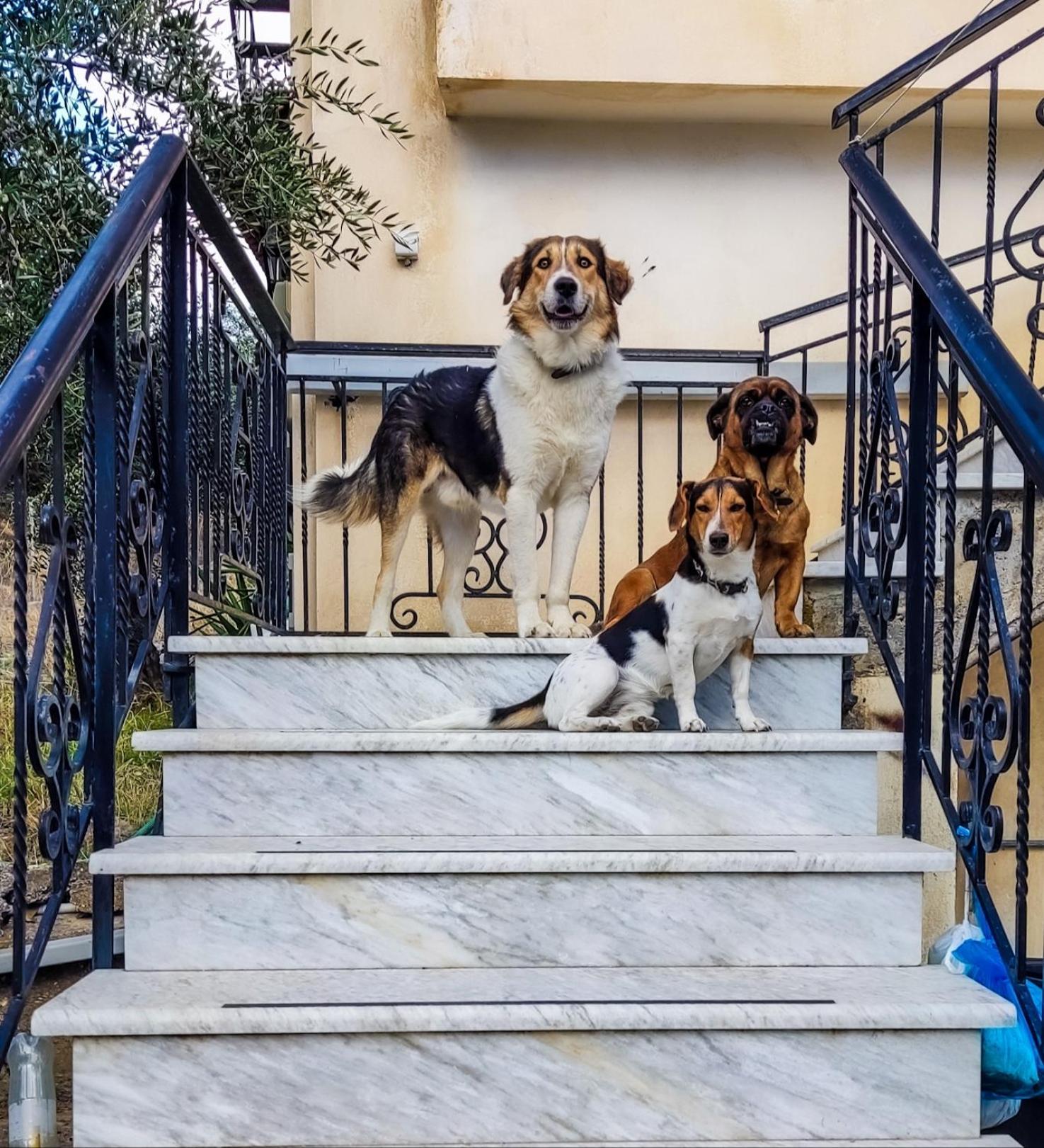 Your Spot West Peloponnese Shared Countryhouse Zacharo Exterior foto